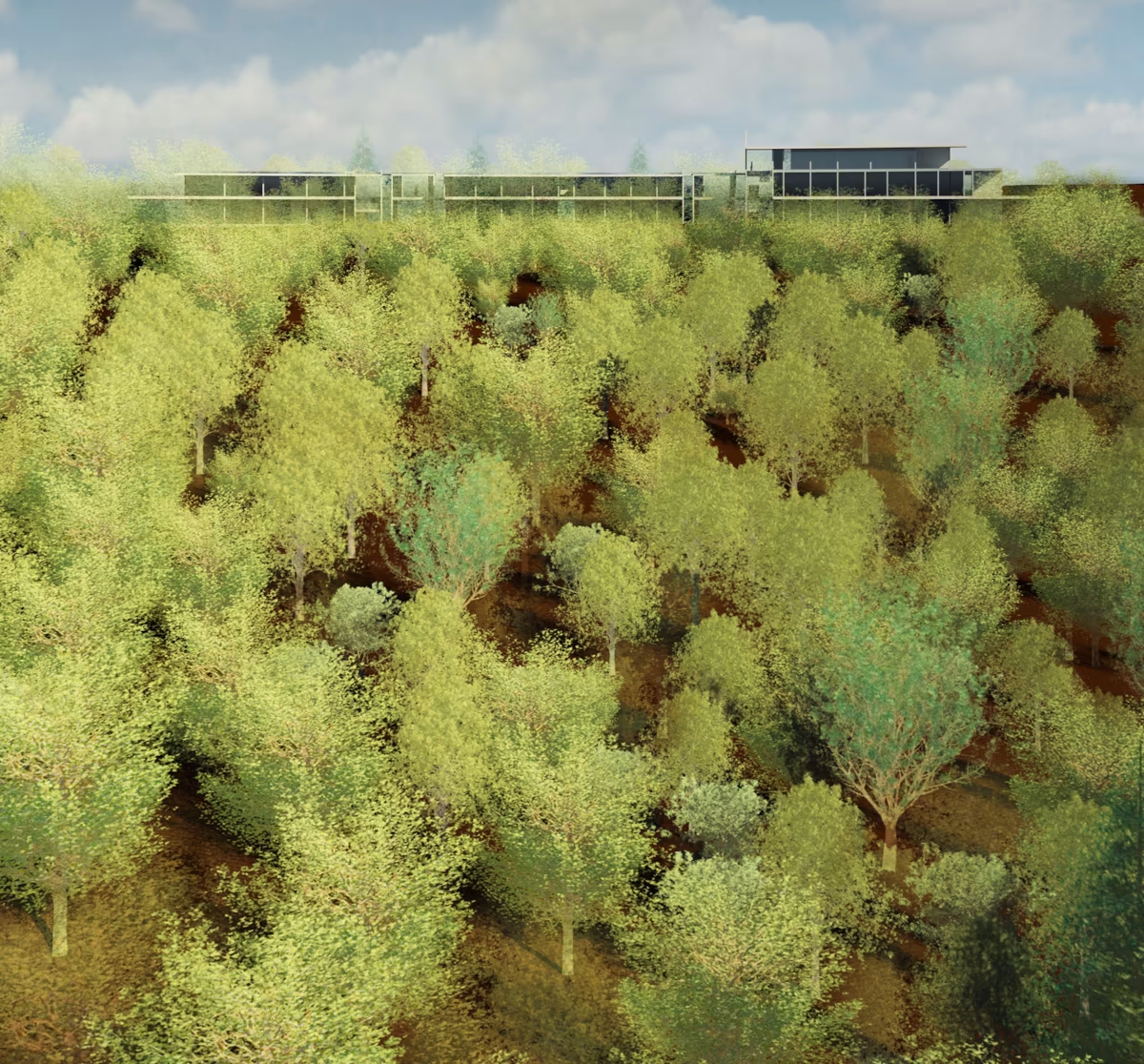 A rendering of a long, multi-story building nestled within a dense green forest on a hillside under a partly cloudy sky.
